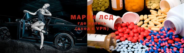 apvp Алзамай