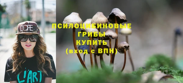 сатива Алексеевка