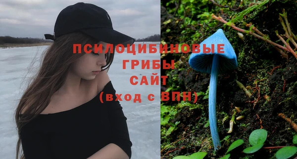 apvp Алзамай