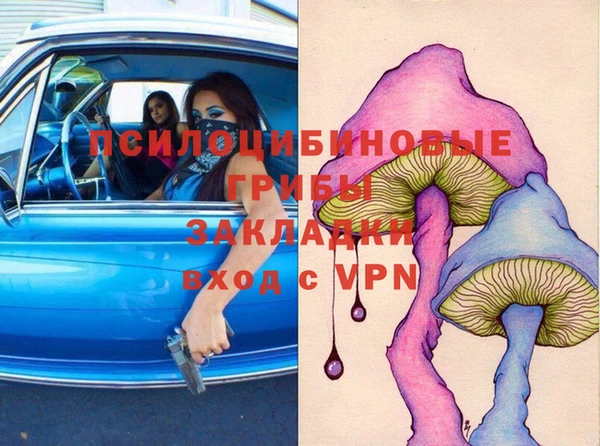 сатива Алексеевка