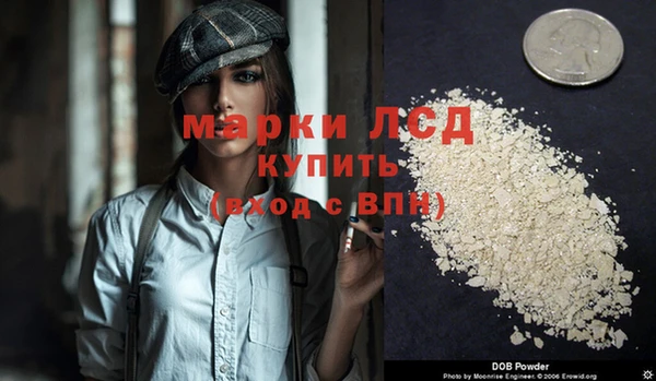 apvp Алзамай