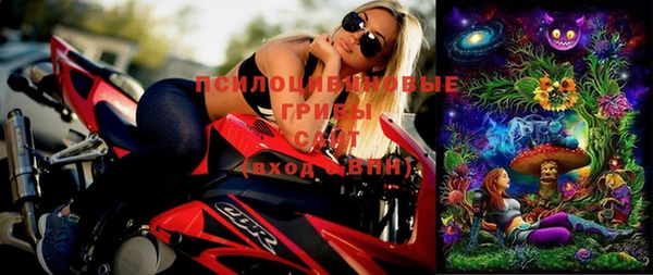 сатива Алексеевка