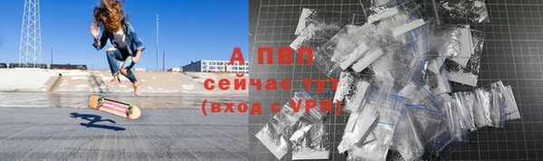 ешки Снежногорск