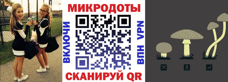 Псилоцибиновые грибы Cubensis  дарнет шоп  Западная Двина 